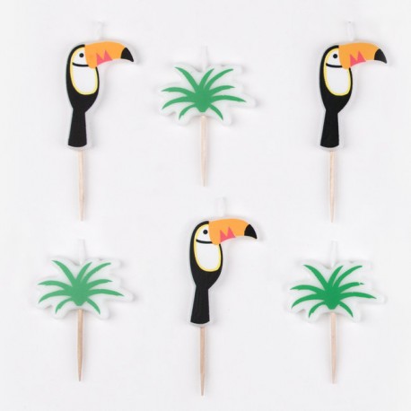 Bougies sur piques - Toucans
