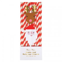 Pailles à thème - Noël