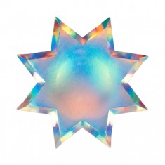 Vaisselle en forme de flocon - Assiettes